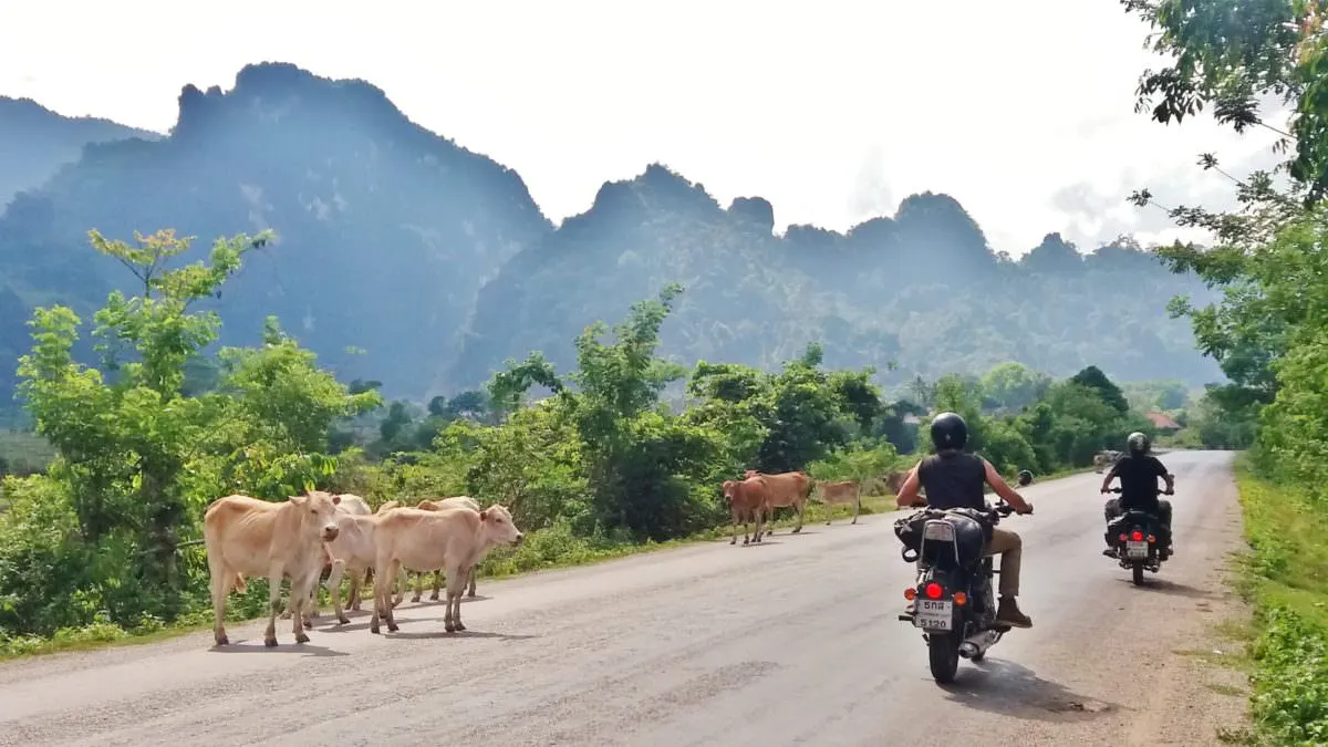 rent a bike in laos car vientiane luang prabang pakse